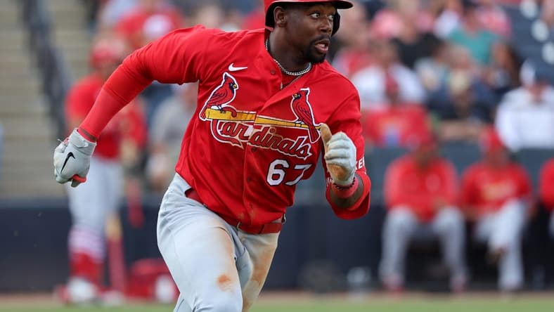 Mar 8, 2023; Tampa, Florida, USA; St. Louis Cardinals left fielder Jordan Walker (67) hits a RBI single during the fifth inning against the New York Yankees at George M. Steinbrenner Field. Mandatory Credit: Kim Klement-USA TODAY Sports