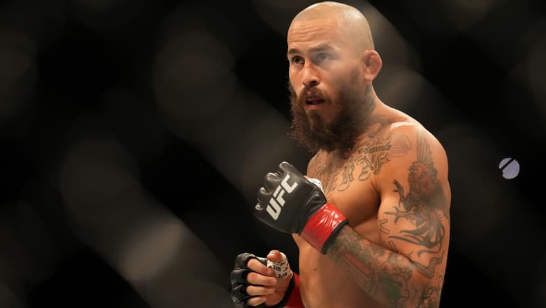 ufc predictions
