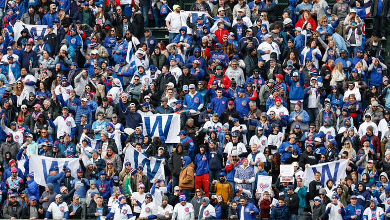 chicago cubs
