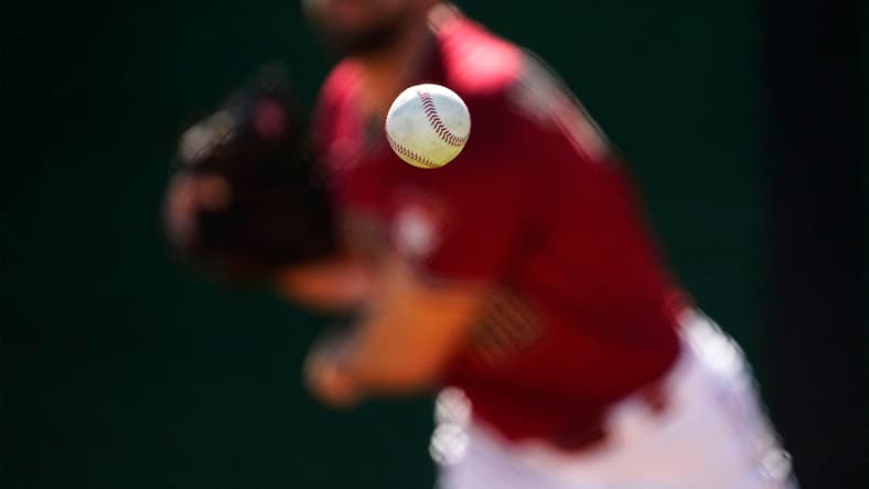 arizona diamondbacks