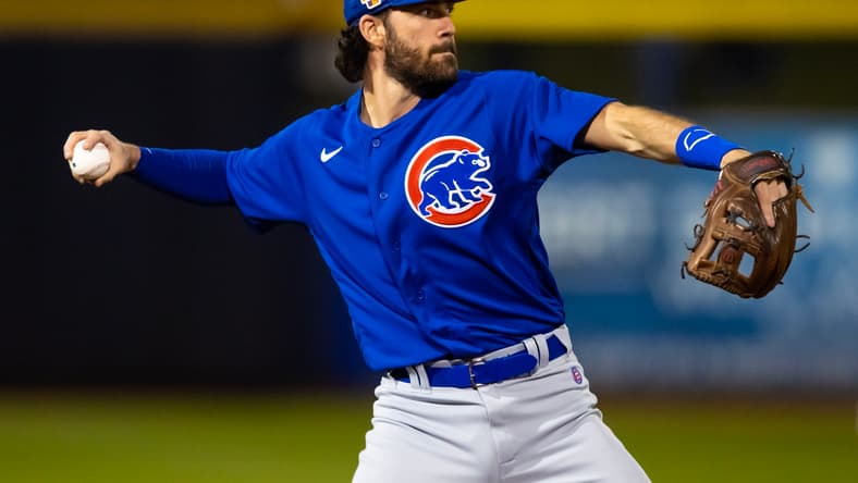 dansby swanson