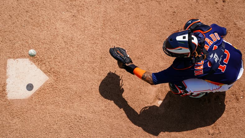 houston astros