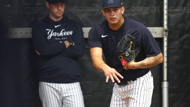 Feb 16, 2023; Tampa, FL, USA; New York Yankees relief pitcher Jonathan Loaisiga (43) pitches during spring training practice at George M. Steinbrenner Field. Mandatory Credit: Kim Klement-USA TODAY Sports