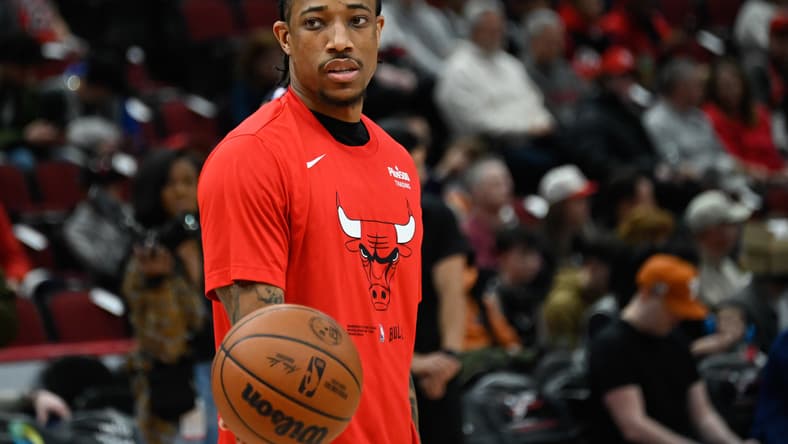 chicago bulls