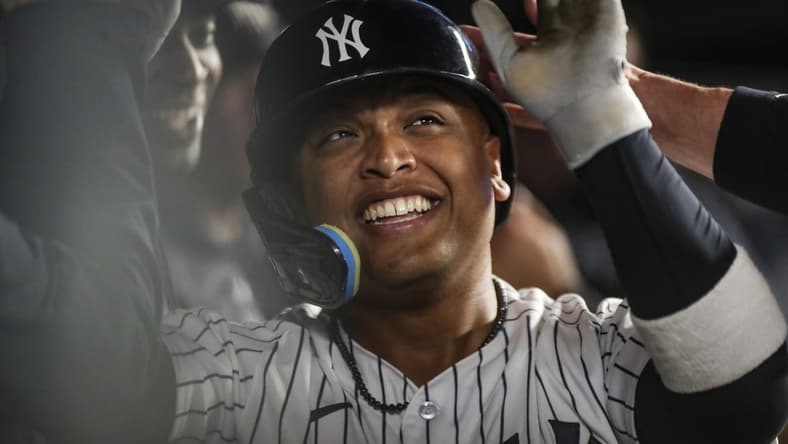Jun 10, 2023; Bronx, New York, USA; New York Yankees right fielder Willie Calhoun (24) celebrates with teammates after hitting a solo home run in the sixth inning against the Boston Red Sox at Yankee Stadium. Mandatory Credit: Wendell Cruz-USA TODAY Sports