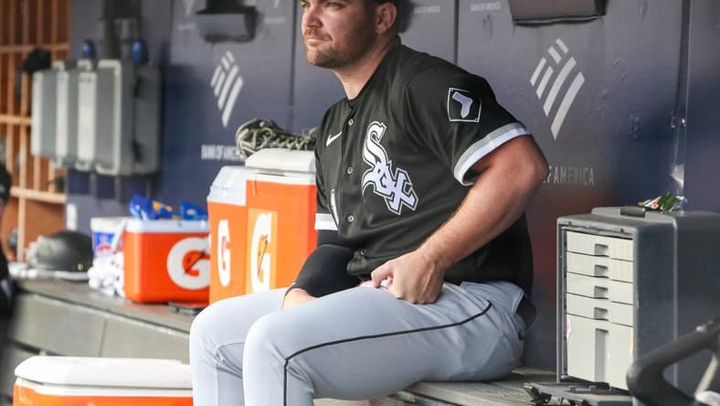 Jun 8, 2023; Bronx, New York, USA; Chicago White Sox relief pitcher Liam Hendriks (31) at Yankee Stadium. Mandatory Credit: Wendell Cruz-USA TODAY Sports