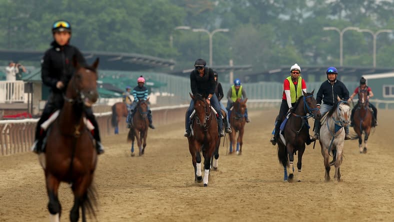 belmont stakes