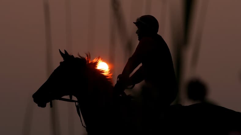 belmont stakes horses