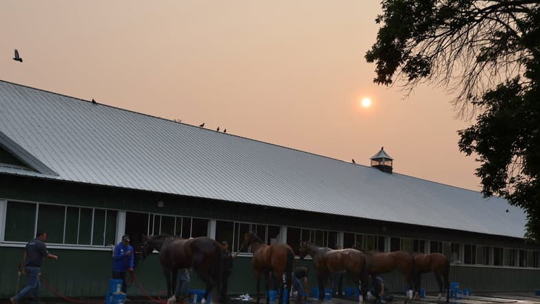 belmont stakes