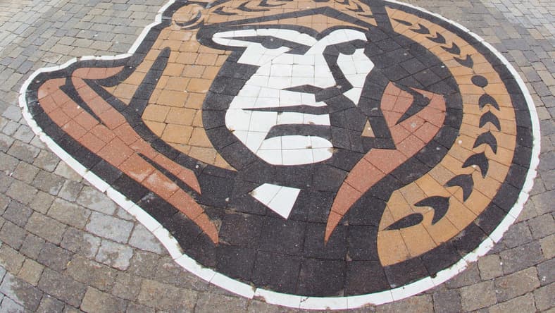 ottawa senators