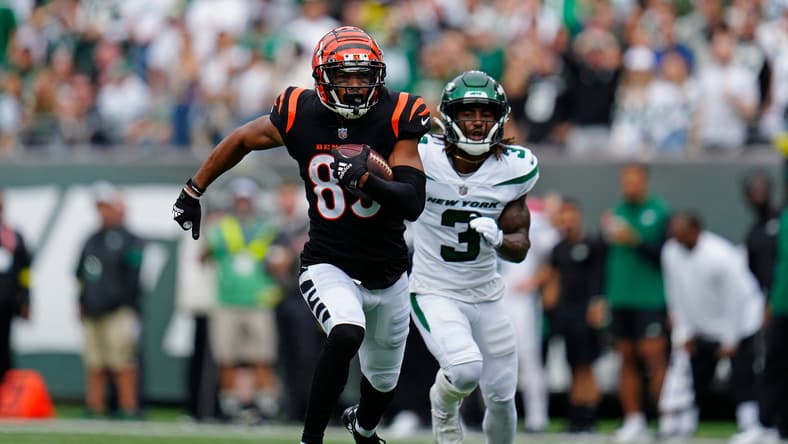 2024 nfl free agent: tyler boyd