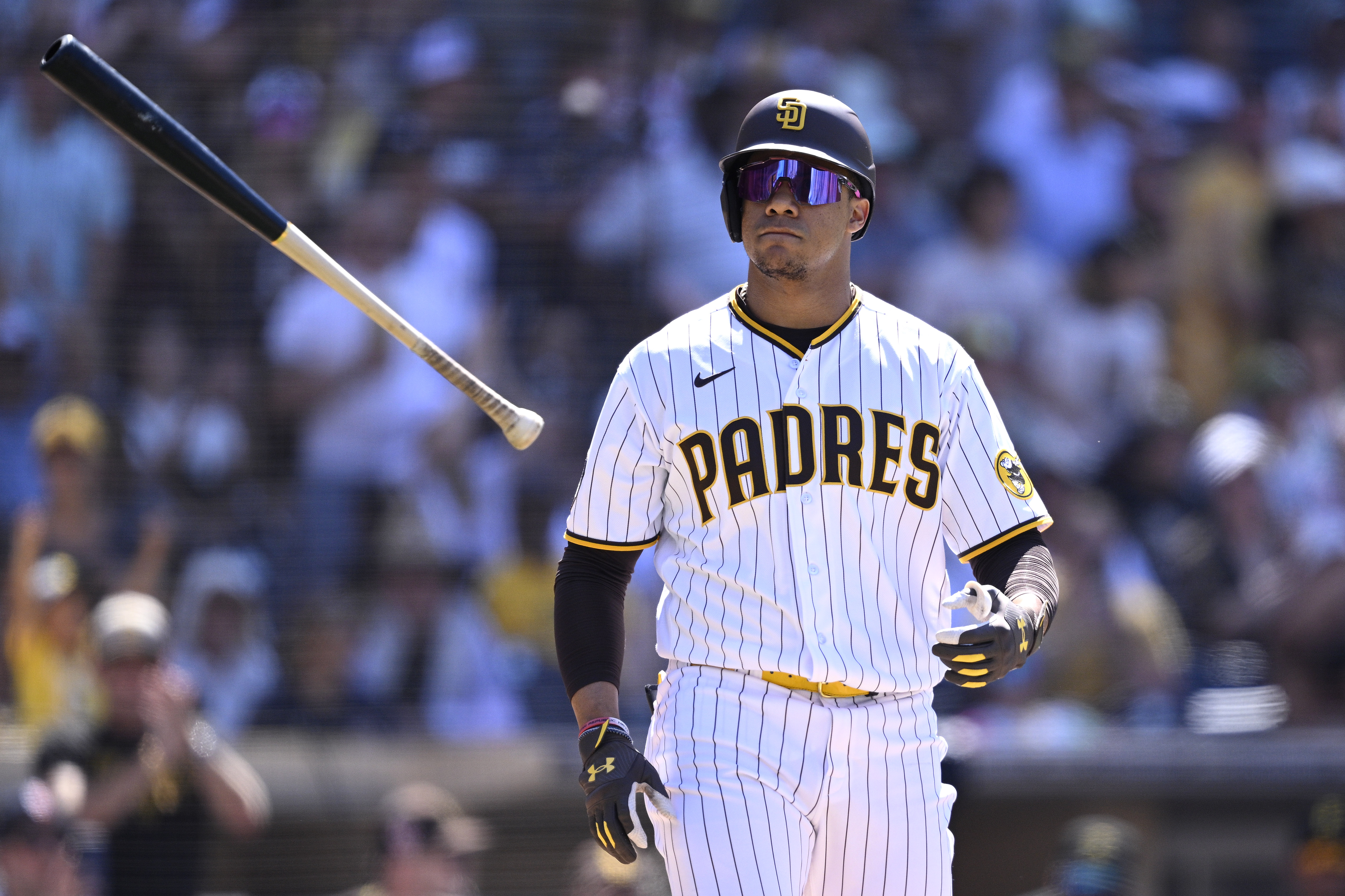 san diego padres' juan soto