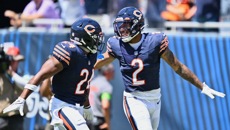 chicago bears