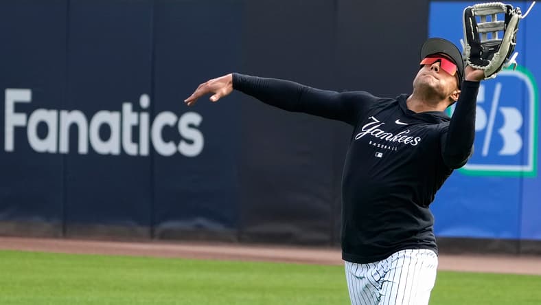 new york yankees: everson pereira