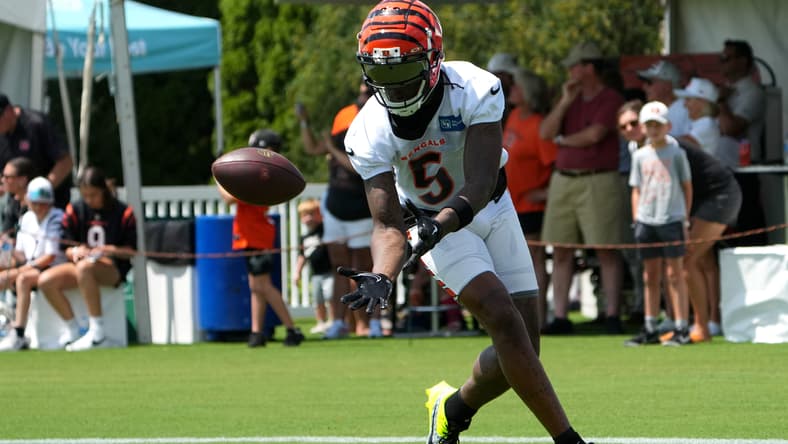 nfl wide receiver rankings: tee higgins