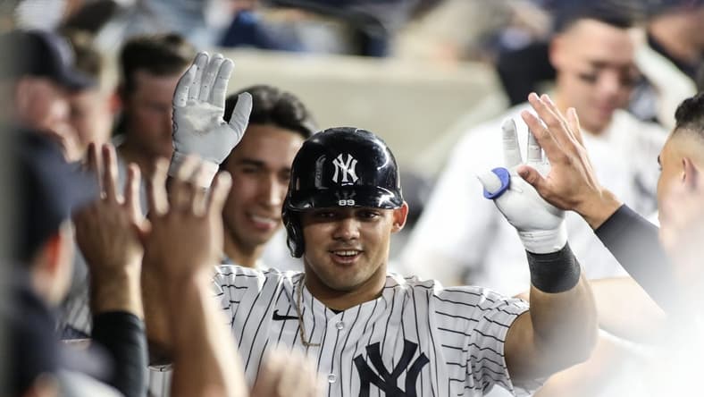 Sep 6, 2023; Bronx, New York, USA;  New York Yankees center fielder Jasson Dominguez (89) is greeted in the dugout after hitting a solo home run in the third inning against the Detroit Tigers at Yankee Stadium. Mandatory Credit: Wendell Cruz-USA TODAY Sports