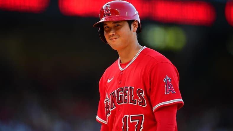Los Angeles Angels designated hitter Shohei Ohtani (17) could be headed for a $500 million payday in free agency. Mandatory Credit: Gary A. Vasquez-USA TODAY Sports
