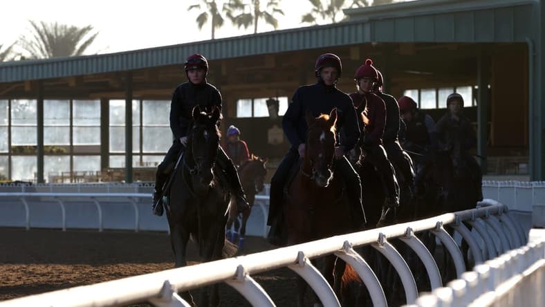 Nov 2, 2023; Santa Anita, CA, USA; Horses train during the Breeders' Cup morning workouts at Santa Anita Park. Mandatory Credit: Kiyoshi Mio-USA TODAY Sports