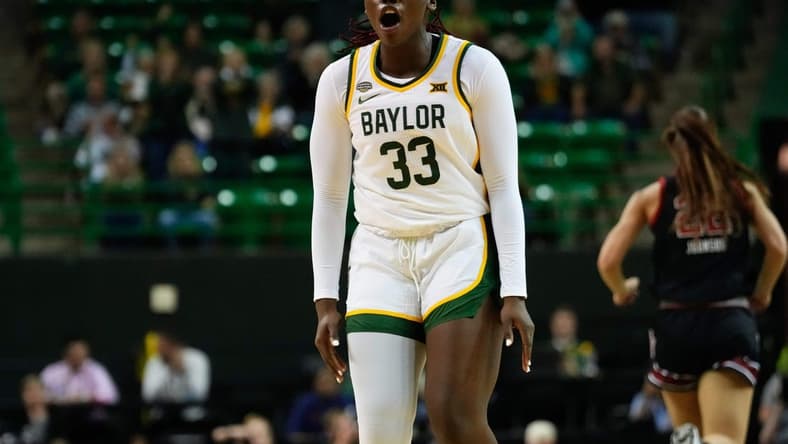 Nov 14, 2023; Waco, Texas, USA; Baylor Lady Bears guard Aijha Blackwell (33) celebrates after scoring a basket against the Utah Utes during the first half at Ferrell Center. Mandatory Credit: Chris Jones-USA TODAY Sports