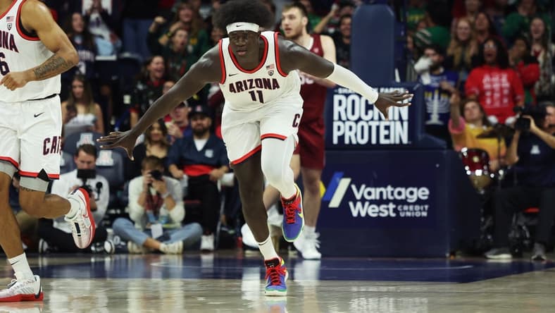 Dec 2, 2023; Tucson, Arizona, USA; Arizona Wildcats center Oumar Ballo (11) celebrates a basket against the Colgate Raiders during the first half at McKale Center. Mandatory Credit: Zachary BonDurant-USA TODAY Sports
