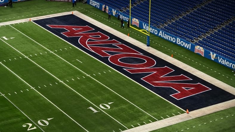 Dec 28, 2023; San Antonio, TX, USA; The Arizona Wildcats logo in the end zone at Alamodome. Mandatory Credit: Kirby Lee-USA TODAY Sports