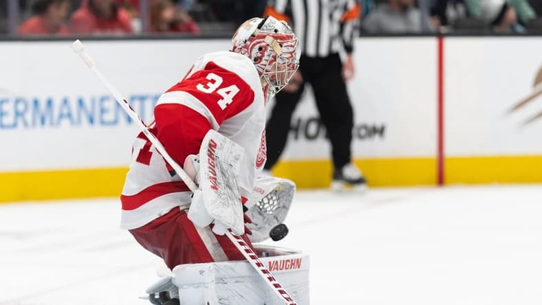 Jan 2, 2024; San Jose, California, USA; Detroit Red Wings goaltender Alex Lyon (34) stops the puck during the second period against the San Jose Sharks at SAP Center at San Jose. Mandatory Credit: Stan Szeto-USA TODAY Sports