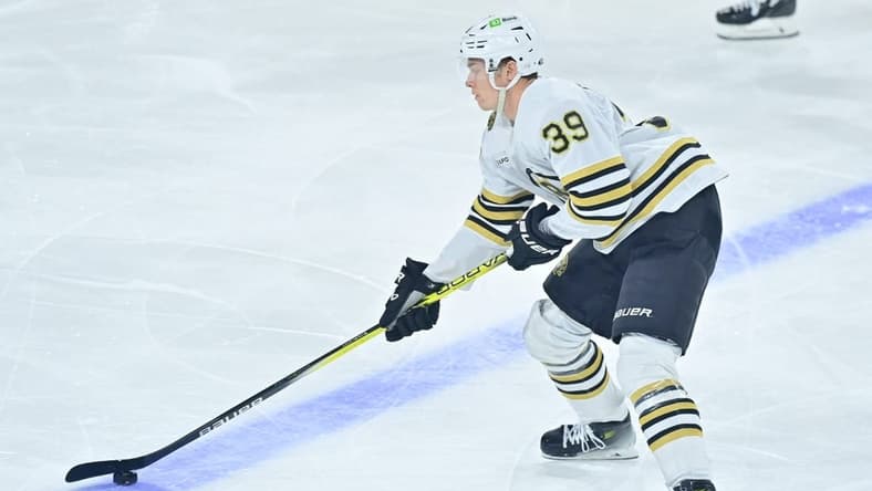 Jan 9, 2024; Tempe, Arizona, USA; Boston Bruins center Morgan Geekie (39) carries the puck in the first period against the Arizona Coyotes at Mullett Arena. Mandatory Credit: Matt Kartozian-USA TODAY Sports