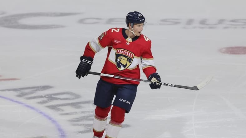 Jan 19, 2024; Sunrise, Florida, USA; Florida Panthers defenseman Gustav Forsling (42) looks on after scoring against the Minnesota Wild during the third period at Amerant Bank Arena. Mandatory Credit: Sam Navarro-USA TODAY Sports