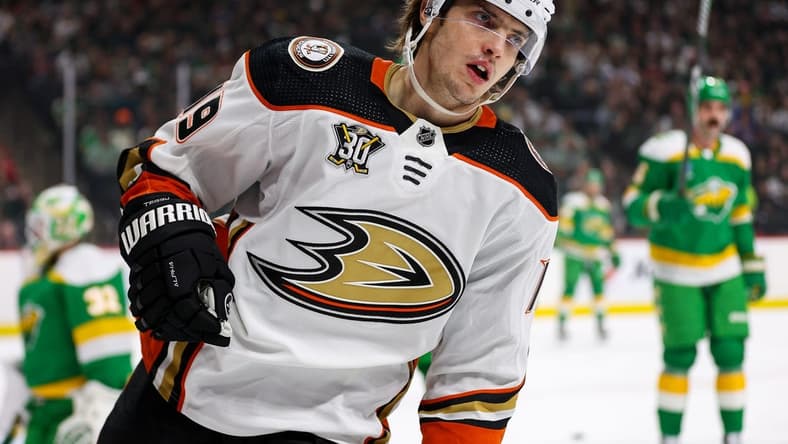 Jan 27, 2024; Saint Paul, Minnesota, USA; Anaheim Ducks right wing Troy Terry (19) celebrates his goal against the Minnesota Wild during the first period at Xcel Energy Center. Mandatory Credit: Matt Krohn-USA TODAY Sports