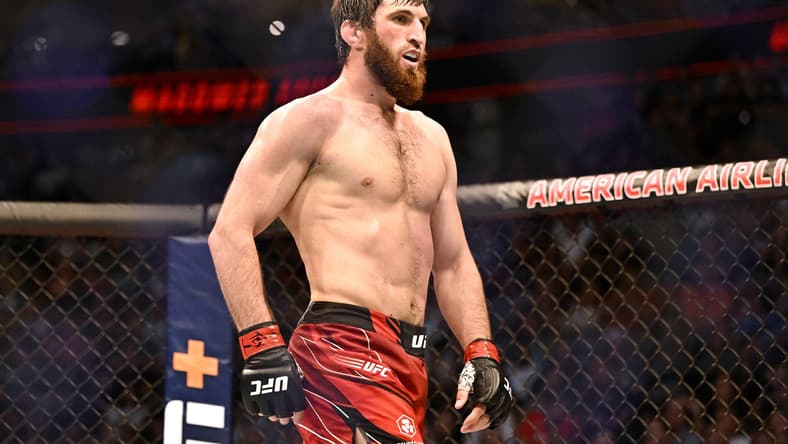 ufc predictions, ufc vegas 84
