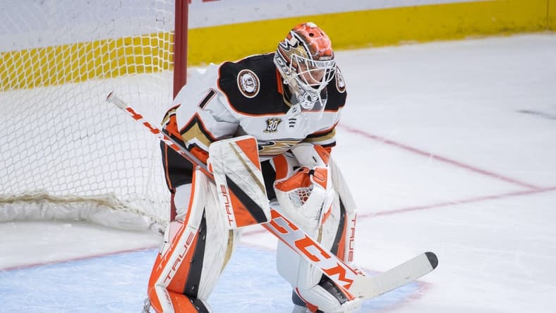 Feb 15, 2024; Ottawa, Ontario, CAN; Anaheim Ducks goalie Lukas Dostal (1) is brought in for the third period against the Ottawa Senators at the Canadian Tire Centre. Mandatory Credit: Marc DesRosiers-USA TODAY Sports