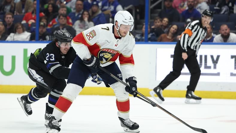 Feb 17, 2024; Tampa, Florida, USA; Florida Panthers defenseman Dmitry Kulikov (7) controls the puck from Tampa Bay Lightning center Michael Eyssimont (23) in the second period at Amalie Arena. Mandatory Credit: Nathan Ray Seebeck-USA TODAY Sports