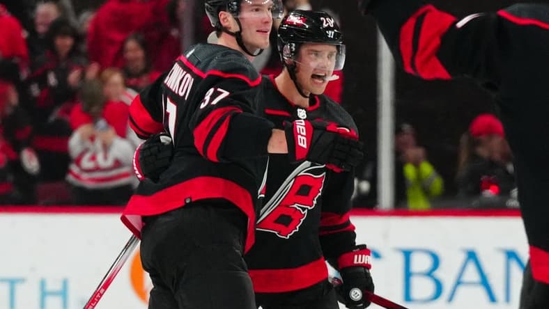Feb 22, 2024; Raleigh, North Carolina, USA; Carolina Hurricanes center Sebastian Aho (20) is congratulated by right wing Andrei Svechnikov (37) after his goal against the Florida Panthers during the third period at PNC Arena. Mandatory Credit: James Guillory-USA TODAY Sports