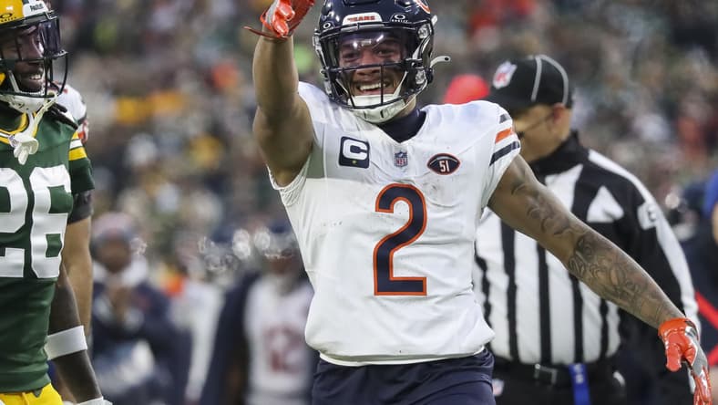 chicago bears