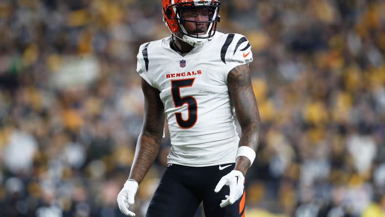 Tee Higgins