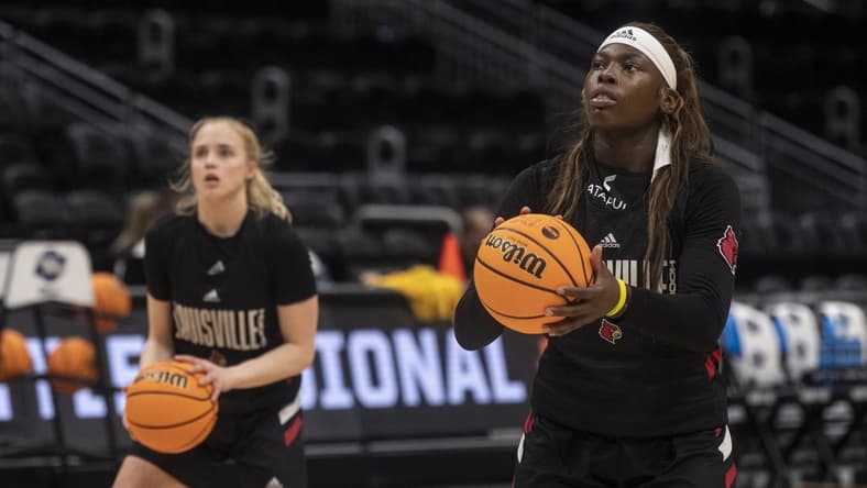 Former teammates with the Louisville Cardinals, forward Olivia Cochran (44) would welcome a date with current LSU guard Hailey Van Lith on Sunday. Mandatory Credit: Stephen Brashear-USA TODAY Sports