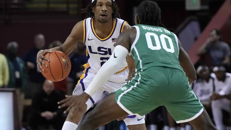 Nov 17, 2023; Charleston, SC, USA; LSU Tigers guard Mike Williams III (2) is guarded by North Texas Mean Green guard John Buggs III (00) in the second half at TD Arena. Mandatory Credit: David Yeazell-USA TODAY Sports