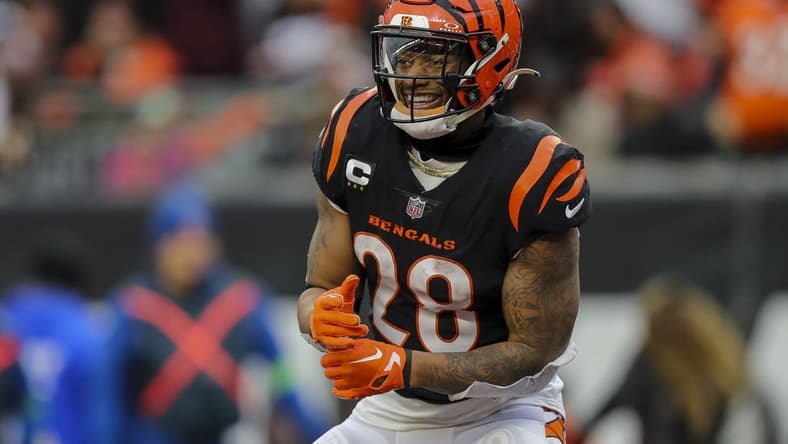 Jan 7, 2024; Cincinnati, Ohio, USA; Cincinnati Bengals running back Joe Mixon (28) reacts after wide receiver Andrei Iosivas (not pictured) scored a touchdown against the Cleveland Browns in the second half at Paycor Stadium. Mandatory Credit: Katie Stratman-USA TODAY Sports
