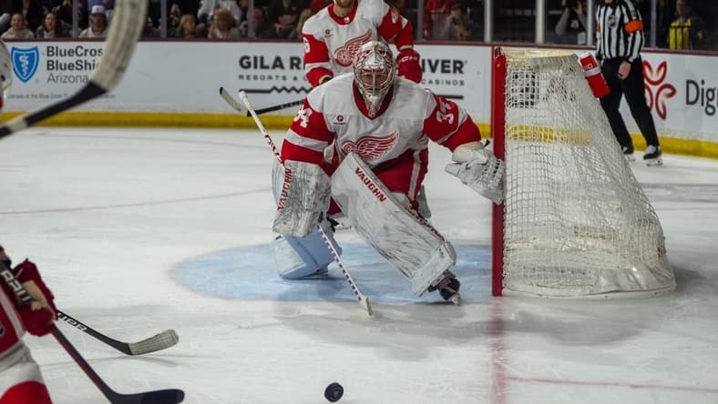 Mar 8, 2024; Tempe, Arizona, USA; Detroit Red Wings goalie Alex Lyon (34) reacts to the puck as it nears the goal in the second period during a game against the Arizona Coyotes at Mullett Arena. Mandatory Credit: Allan Henry-USA TODAY Sports