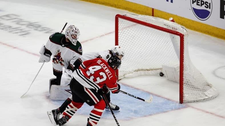 Mar 10, 2024; Chicago, Illinois, USA; Chicago Blackhawks center Colin Blackwell (43) scores against the Arizona Coyotes during the second period at United Center. Mandatory Credit: Kamil Krzaczynski-USA TODAY Sports