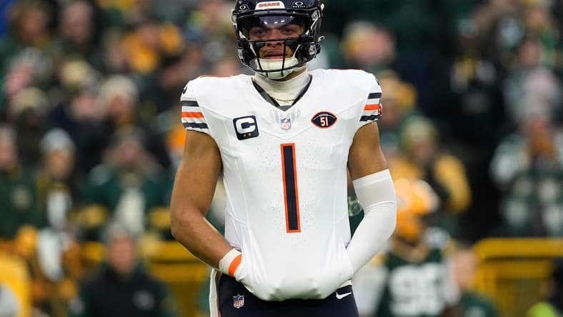 chicago bears