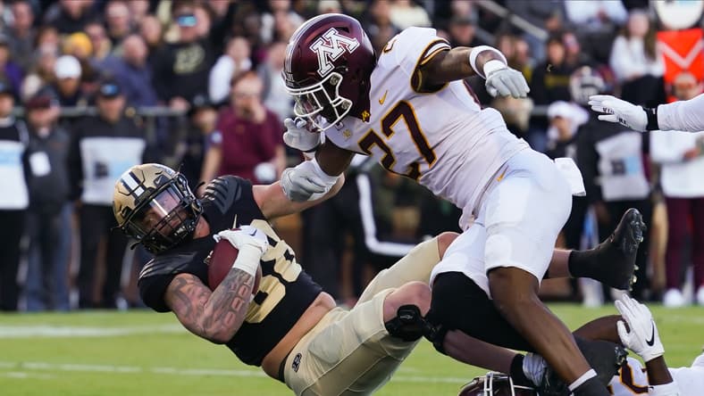 New York Giants, Tyler Nubin