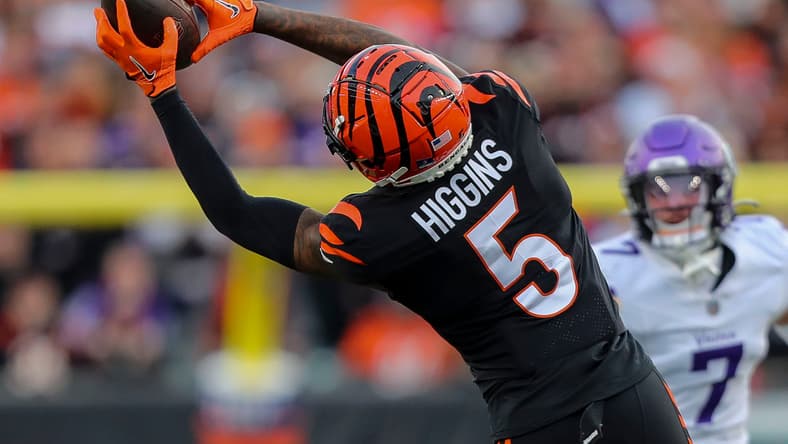 Tee Higgins, Cincinnati Bengals
