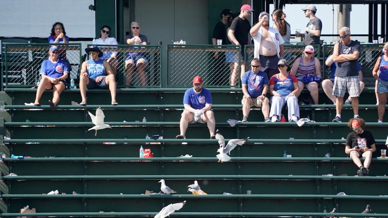 Chicago Cubs