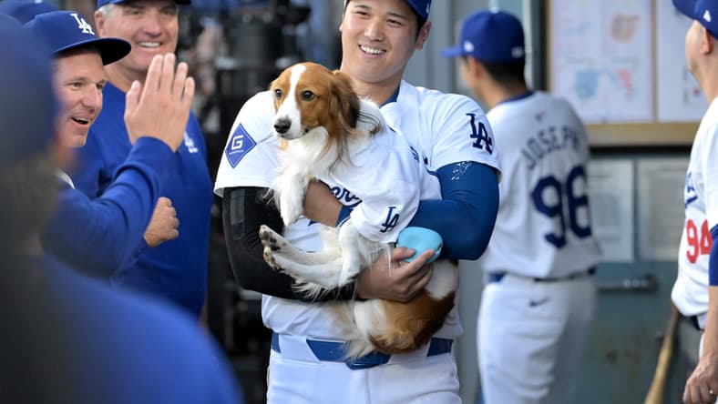 shohei ohtani