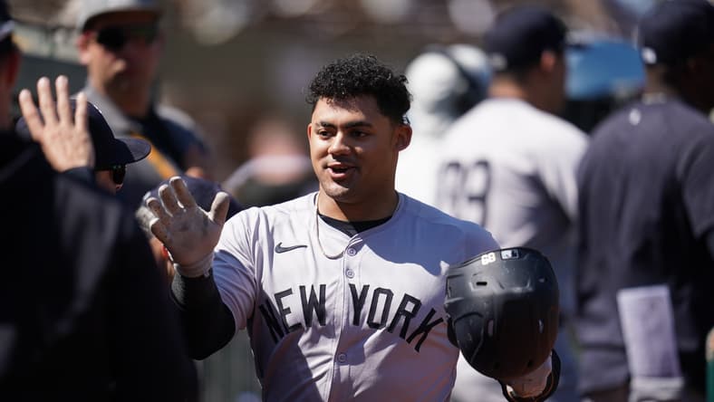 Jasson Dominguez, New York Yankees