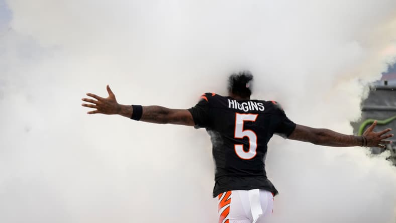 Cincinnati Bengals, Tee Higgins