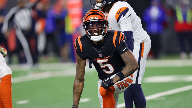 Tee Higgins