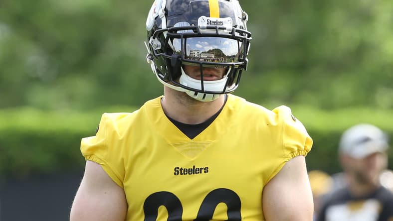 pittsburgh steelers