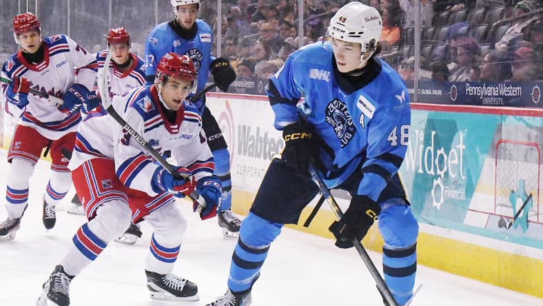 New York Islanders, Matthew Schaefer, San Jose Sharks